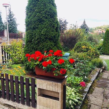Villa Cihelna Apartments Český Krumlov Εξωτερικό φωτογραφία